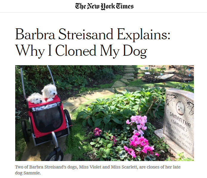 Barbara_Streisand_Cloned-Dogs